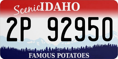 ID license plate 2P9295O