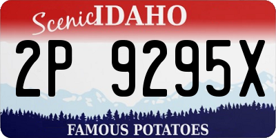 ID license plate 2P9295X
