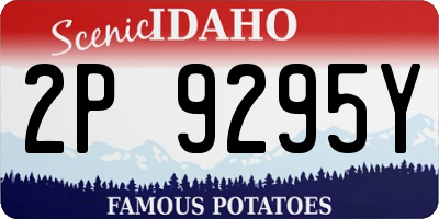 ID license plate 2P9295Y