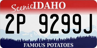 ID license plate 2P9299J