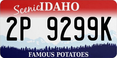 ID license plate 2P9299K
