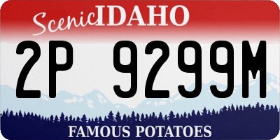 ID license plate 2P9299M