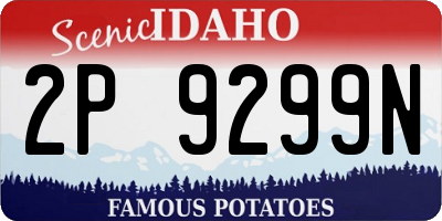 ID license plate 2P9299N