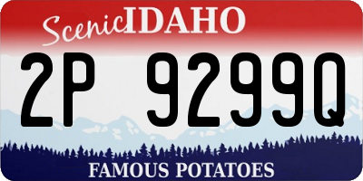 ID license plate 2P9299Q