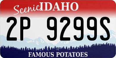 ID license plate 2P9299S