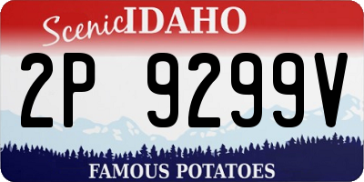 ID license plate 2P9299V