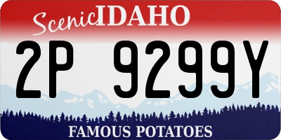 ID license plate 2P9299Y