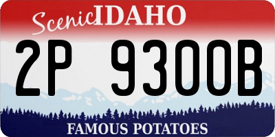 ID license plate 2P9300B