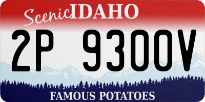 ID license plate 2P9300V