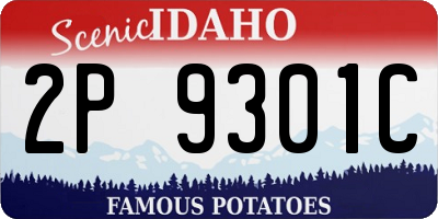 ID license plate 2P9301C