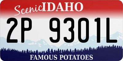 ID license plate 2P9301L