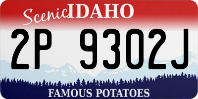 ID license plate 2P9302J