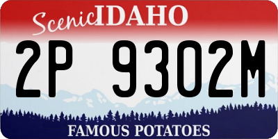 ID license plate 2P9302M