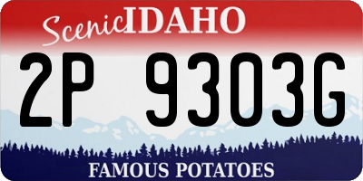 ID license plate 2P9303G