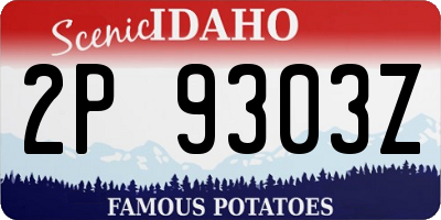 ID license plate 2P9303Z