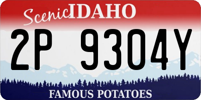 ID license plate 2P9304Y