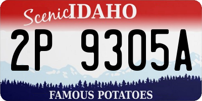 ID license plate 2P9305A