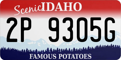 ID license plate 2P9305G
