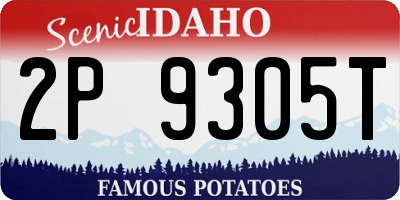 ID license plate 2P9305T