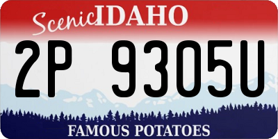 ID license plate 2P9305U