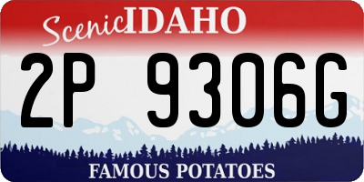 ID license plate 2P9306G