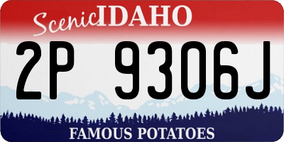 ID license plate 2P9306J