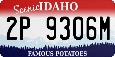 ID license plate 2P9306M