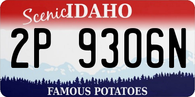 ID license plate 2P9306N
