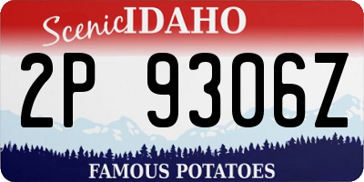 ID license plate 2P9306Z