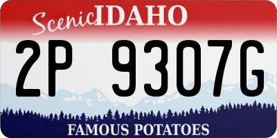 ID license plate 2P9307G