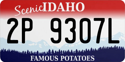 ID license plate 2P9307L