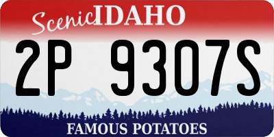 ID license plate 2P9307S