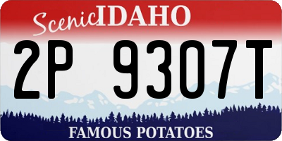 ID license plate 2P9307T