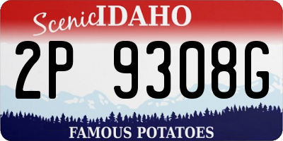 ID license plate 2P9308G