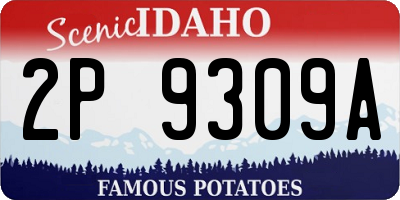 ID license plate 2P9309A