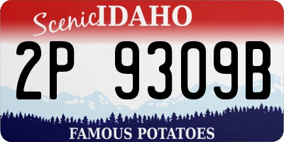 ID license plate 2P9309B