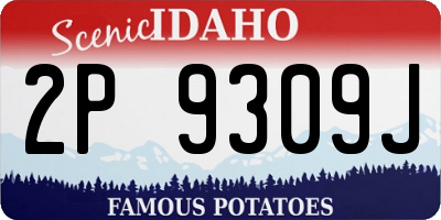 ID license plate 2P9309J