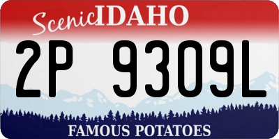 ID license plate 2P9309L