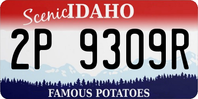 ID license plate 2P9309R