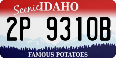 ID license plate 2P9310B