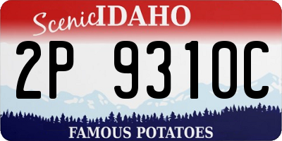 ID license plate 2P9310C