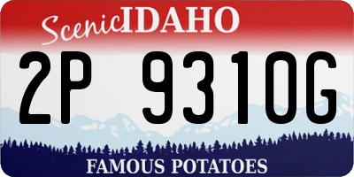 ID license plate 2P9310G