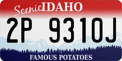 ID license plate 2P9310J