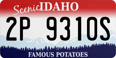 ID license plate 2P9310S