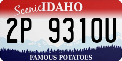 ID license plate 2P9310U