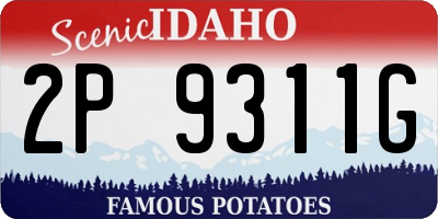 ID license plate 2P9311G