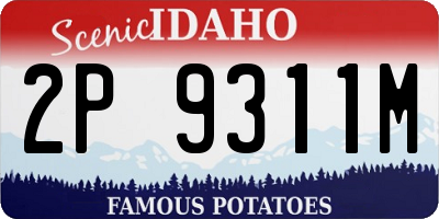 ID license plate 2P9311M