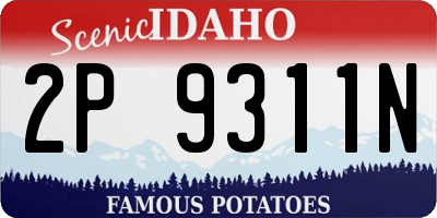 ID license plate 2P9311N