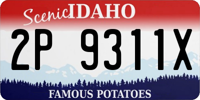 ID license plate 2P9311X