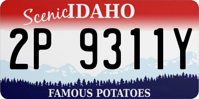 ID license plate 2P9311Y